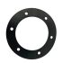 Harman and Heatilator Eco-Choice Boiler Water Gasket 3/16 IN, PH