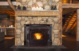 Fireplace Insert