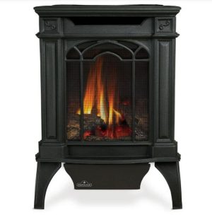 Napoleon Arlington Direct Vent Natural Gas Stove